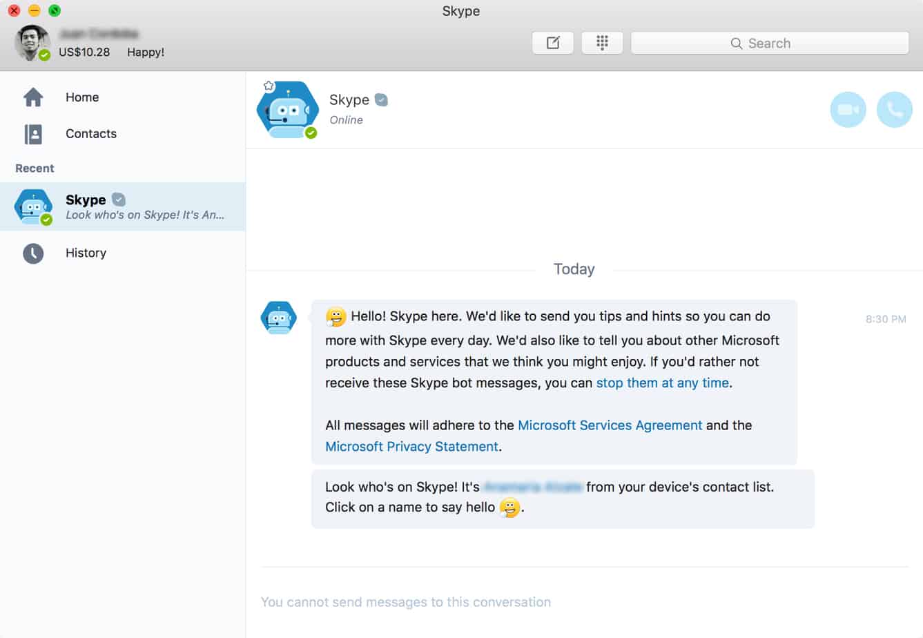 Skype Chatbot Screenshot