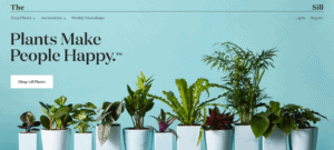 serif-font